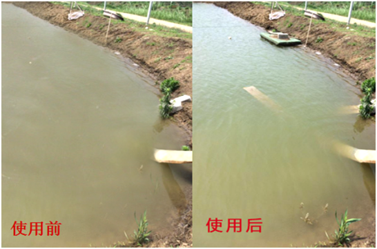 渾濁水、對(duì)蝦吃料差怎么處理？